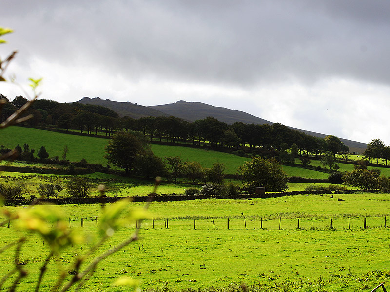 Looking from East hill over to the Tor in Dartmoor national park