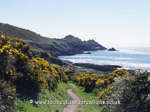 Cornish sea coast