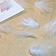 Click to add: Confetti Feathers - White