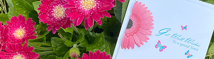 hot pink paper gerbera flower